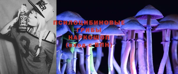 стафф Алзамай