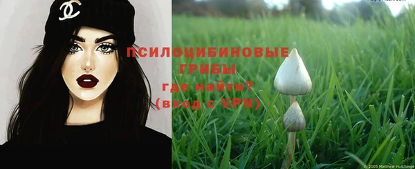 соль ск Алексеевка