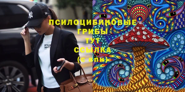 соль ск Алексеевка