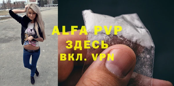 стафф Алзамай