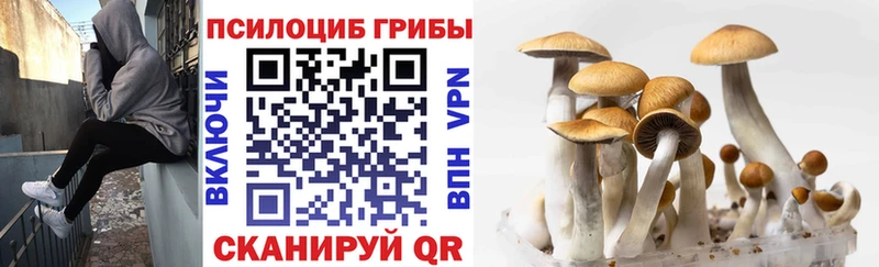 закладка  ссылка на мегу сайт  Галлюциногенные грибы Psilocybe  Мамоново 